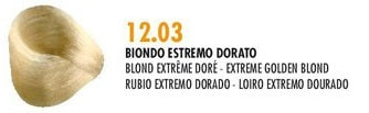 Compagnia Del Colore 12.03 Extreme Golden Blond - Salon Quality Professional Beauty Products Company